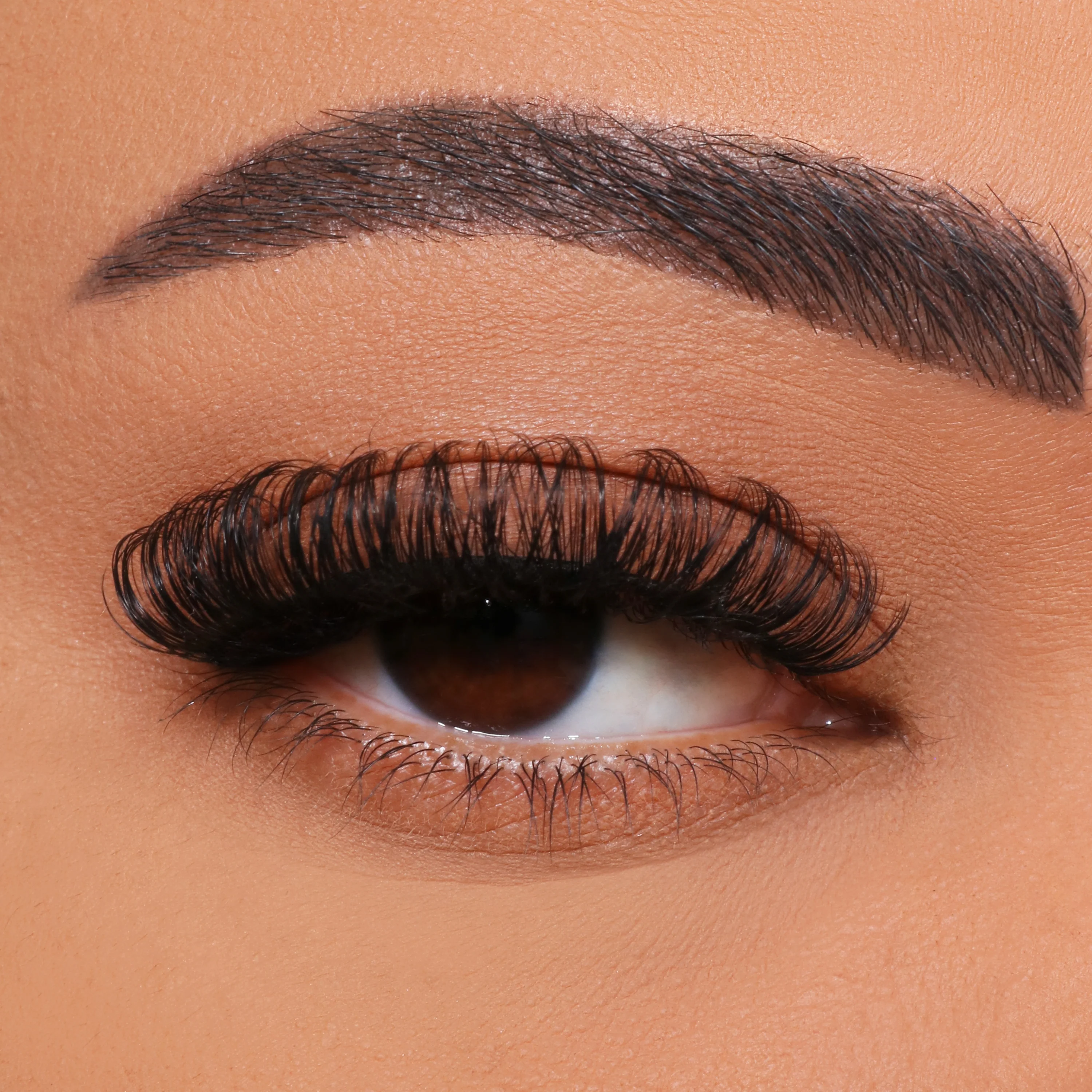 Hoe doe je meer multi-bloemen wimperransplantatie?